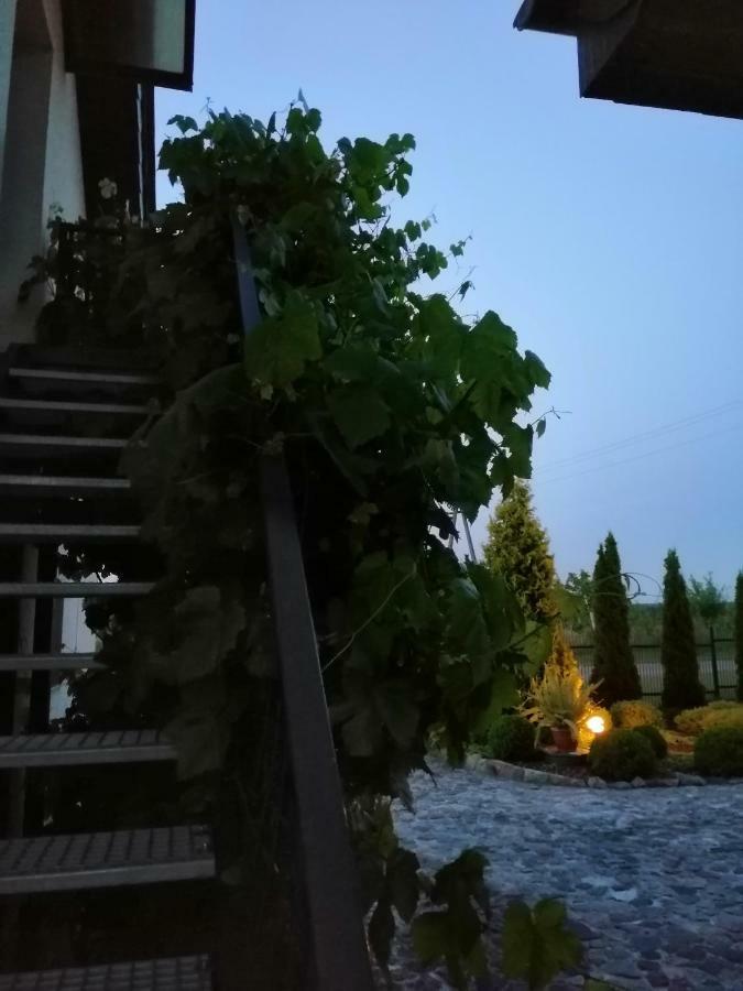 Sloneczne Zacisze Διαμέρισμα Wicko  Εξωτερικό φωτογραφία